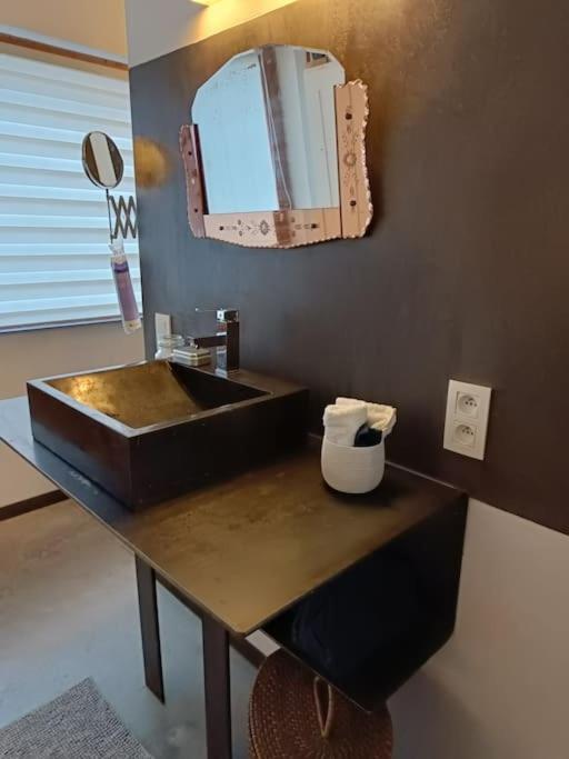 شقة Loft, Parking Prive, Terrasse, Entree Independante لييج المظهر الخارجي الصورة